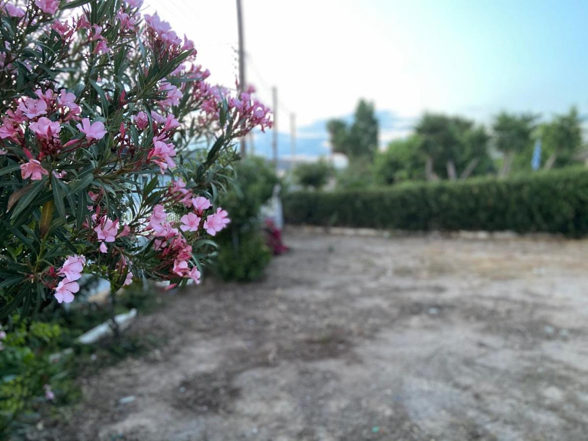 Athens Riviera: 2 Bed / 3' Walk From The Beach Ajía Marína Kültér fotó